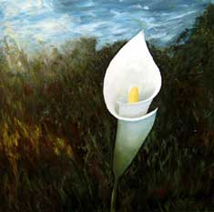 "Groe Calla" - lbild - Online-Galerie Nr.16