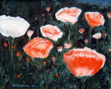 "Klatschmohn